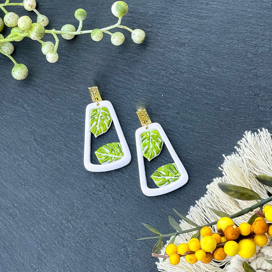 Peek-A-Boo Monsteras