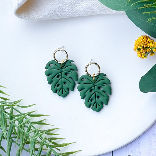 Monstera Leaves